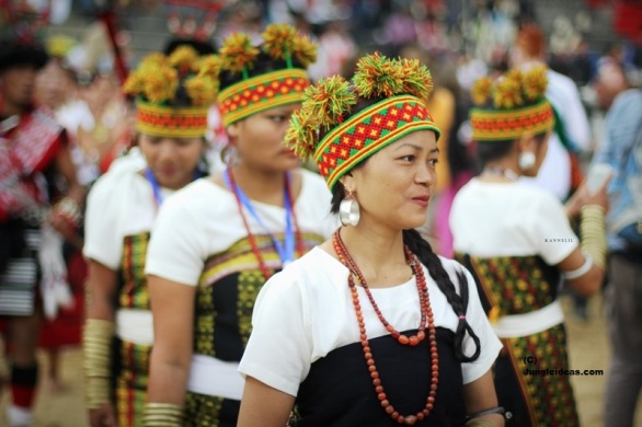 Hornbill Festival Nagaland, Kohima Hotels, Kohima Homestay, Dzukou Valley Trek